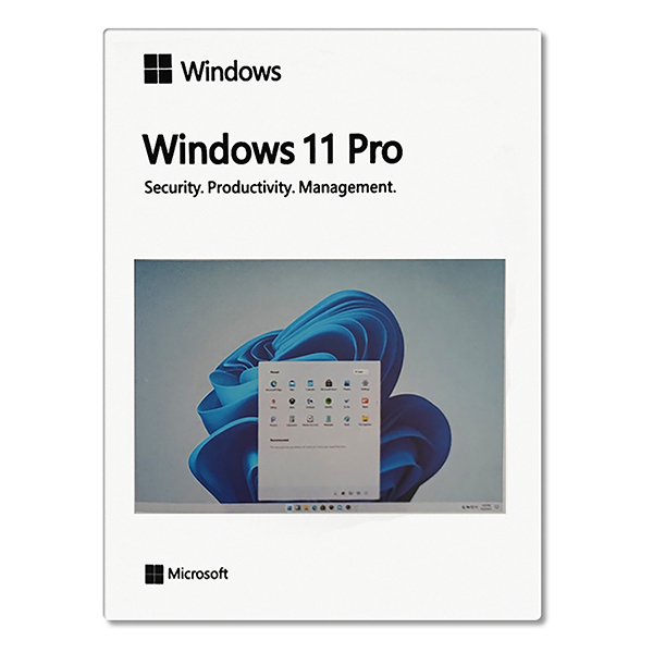Windows 11 Pro - Product Key - Lifetime Validity for 1 PC